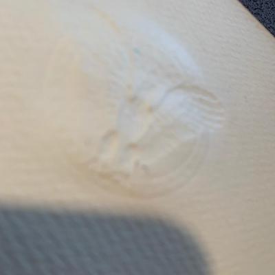 1953 & 1957 Inaugural Programs Ike Nixon