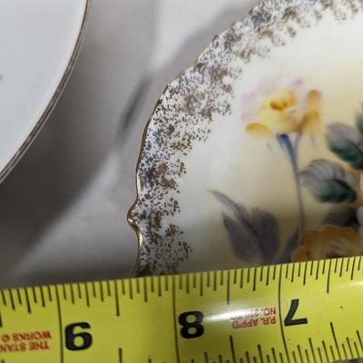 Kitchen Decor Plates & Glasses