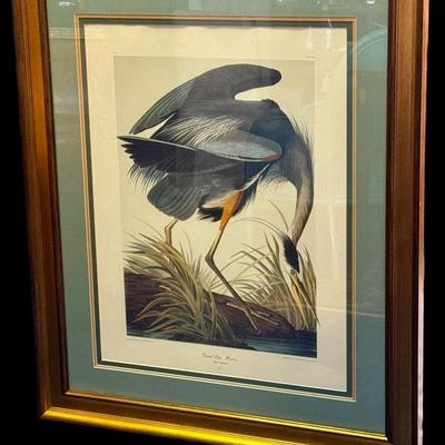 Audubon Great Blue Heron Print