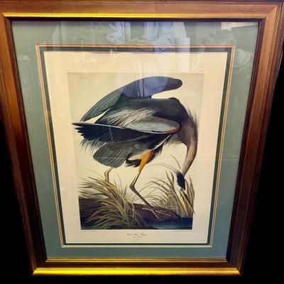 Audubon Great Blue Heron Print