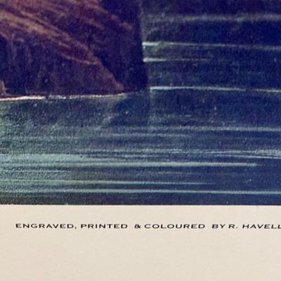 Audubon Great Blue Heron Print