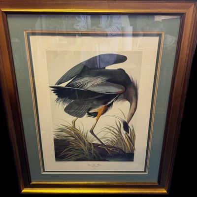 Audubon Great Blue Heron Print