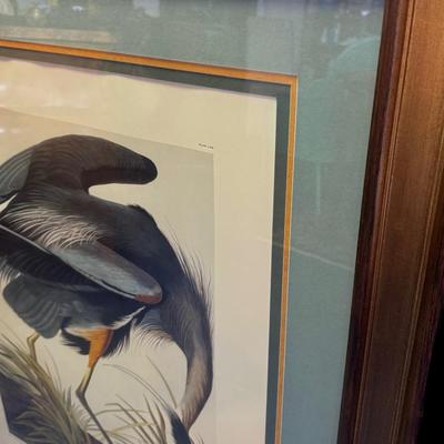 Audubon Great Blue Heron Print