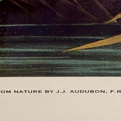 Audubon Great Blue Heron Print