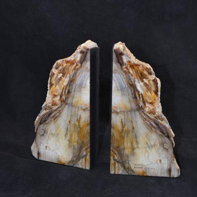 Petrified Sequoia Book Ends 8.25â€ Tall, Felted