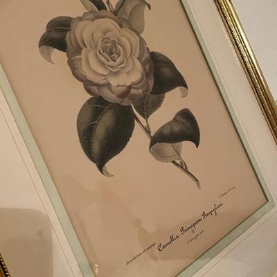2 Large Floral Prints