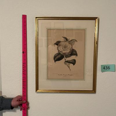 2 Large Floral Prints