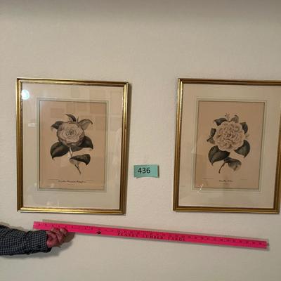 2 Large Floral Prints