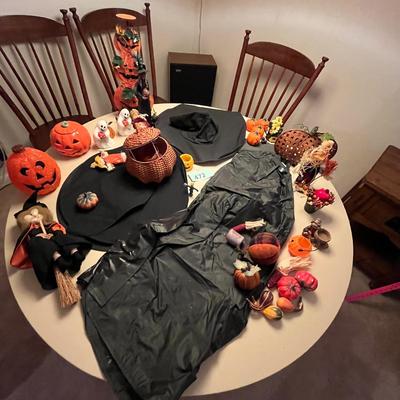 Halloween Decor & Costume