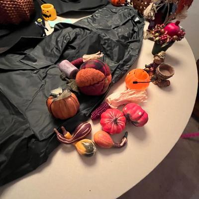 Halloween Decor & Costume