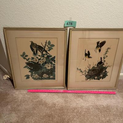 Audubon Prints