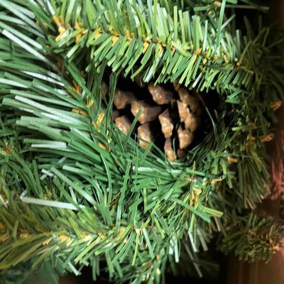 Christmas trees & greenery