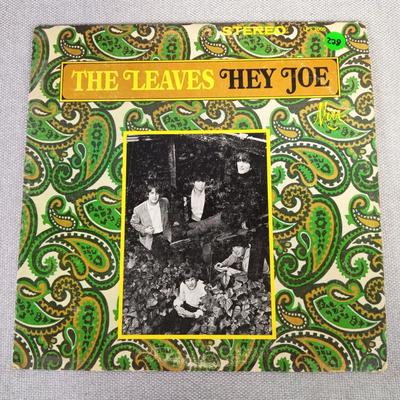 The Leaves - Hey Joe