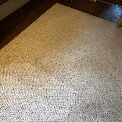 Large 9â€™ x 12â€™ Area Rug (O-RG)