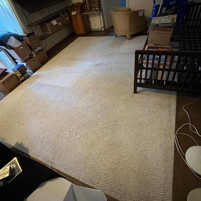 Large 9â€™ x 12â€™ Area Rug (O-RG)