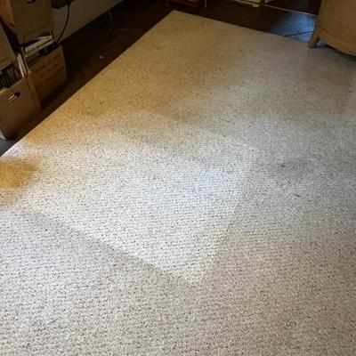 Large 9â€™ x 12â€™ Area Rug (O-RG)