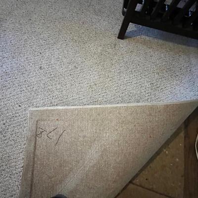 Large 9â€™ x 12â€™ Area Rug (O-RG)