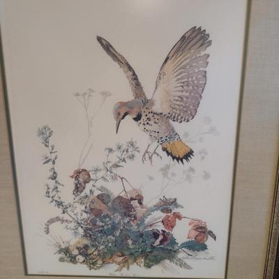 Sallie Ellington Middleton 'Yellow Shafted Flicker' Print- Double Signed- Approx 27
