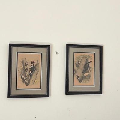 Pair of Woodpecker Prints (O-RG)