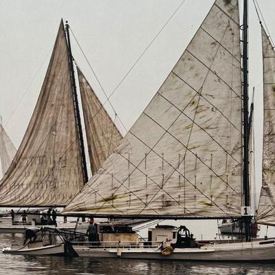 N286 â€œQuartet at the Choptank Heritage Skipjack Raceâ€ Photo on Canvas by Jill Jasuta