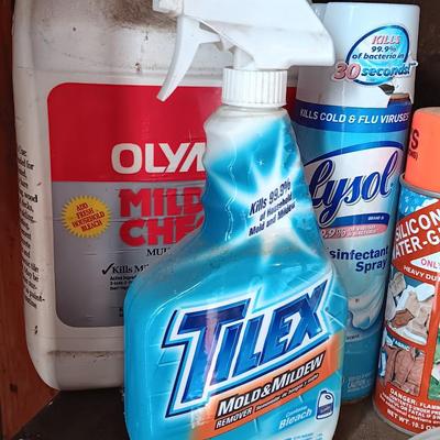 Variety of full to mostly full chemicals for the house - insect control - cleaning - and more