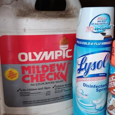 Variety of full to mostly full chemicals for the house - insect control - cleaning - and more
