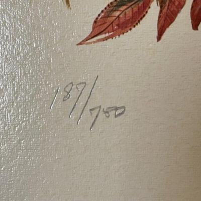 (Lot of 67 Pieces) Ring-Neck Pheasant Pencil Signed by Jules E. SCHEFFER (American, 1924-2006) Glossy Lithograph Prints Editions of 750....