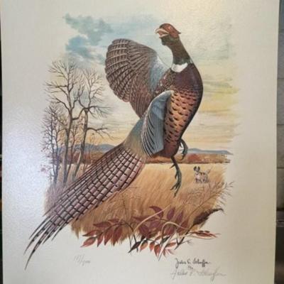 (Lot of 67 Pieces) Ring-Neck Pheasant Pencil Signed by Jules E. SCHEFFER (American, 1924-2006) Glossy Lithograph Prints Editions of 750....