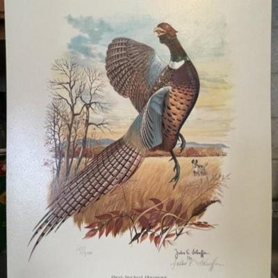 (Lot of 67 Pieces) Ring-Neck Pheasant Pencil Signed by Jules E. SCHEFFER (American, 1924-2006) Glossy Lithograph Prints Editions of 750....