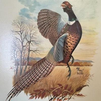 (Lot of 67 Pieces) Ring-Neck Pheasant Pencil Signed by Jules E. SCHEFFER (American, 1924-2006) Glossy Lithograph Prints Editions of 750....