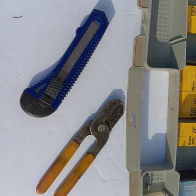 Organizer box with assortment of fuses and some hand tools
