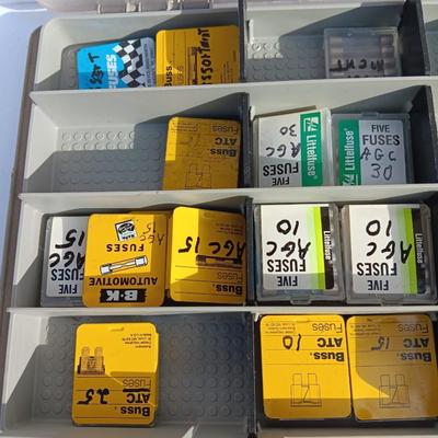 Organizer box with assortment of fuses and some hand tools