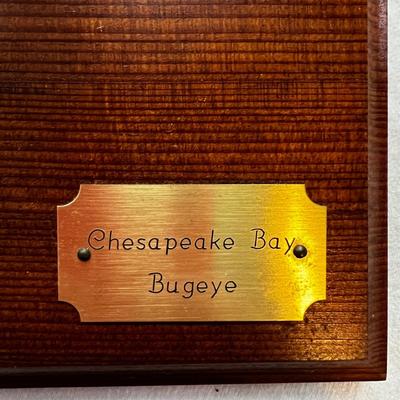 N297 Chesapeake Bay Bugeye 1/2 Hull Model