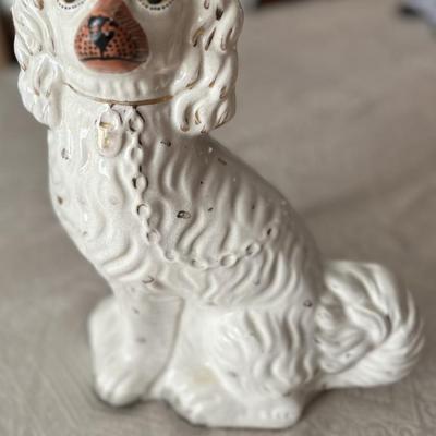 Staffordshire King Charles Spaniel