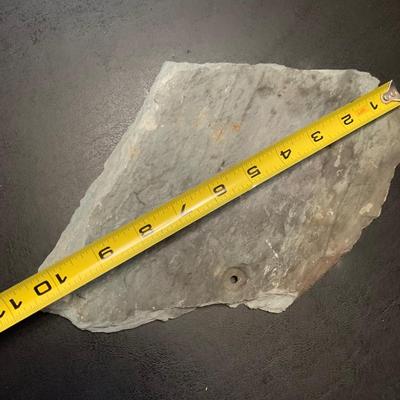 Piece Of White House Slate Roof