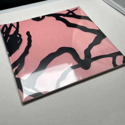 KAWS What Party Brooklyn Museum Pink Booklet Book Catalogue Print Paperback