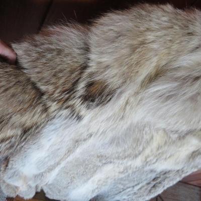 FUR ~ NATURAL COYOTE ~ Full length 46â€ Custom Coat