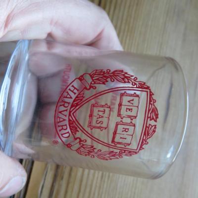 Lot Of Shot Glasses - all seen on table