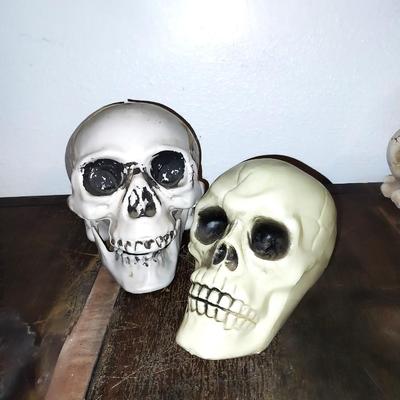 SKULL DECOR