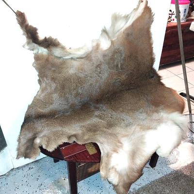 NICE FUR PELT