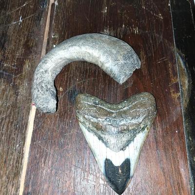 SMALL ANIMAL PELT AND TWO ARTIFACTS FROM BONE