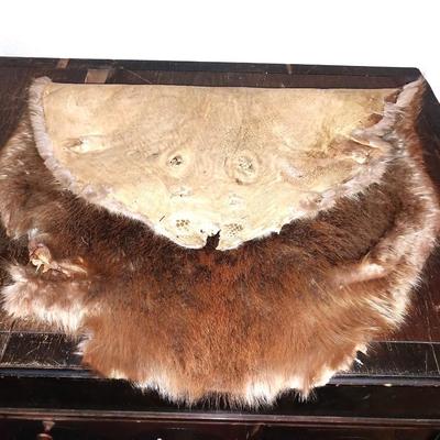 SMALL ANIMAL PELT AND TWO ARTIFACTS FROM BONE