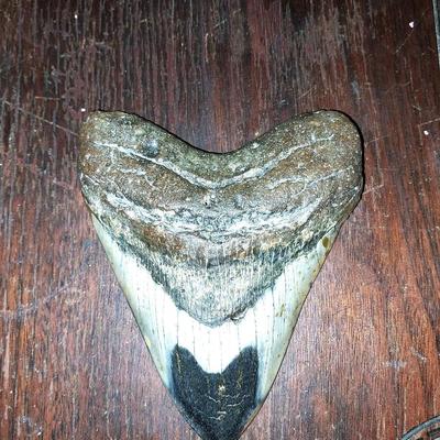 SMALL ANIMAL PELT AND TWO ARTIFACTS FROM BONE