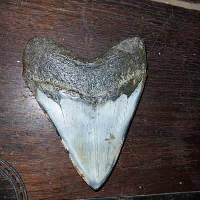 SMALL ANIMAL PELT AND TWO ARTIFACTS FROM BONE