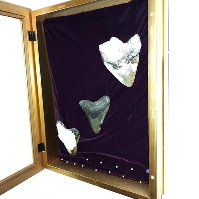 DISPLAY CASE WITH FOSSIL ARROW HEADS AND GOLD TONEMIRROR WITH NATIVE AMERICAN THEME