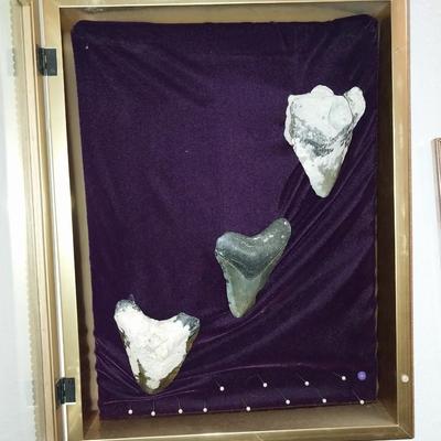 DISPLAY CASE WITH FOSSIL ARROW HEADS AND GOLD TONEMIRROR WITH NATIVE AMERICAN THEME