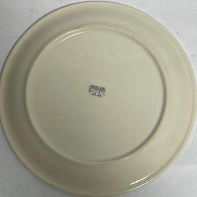 Syracuse Peach-Salmon Wide Band Floral Center Dinner Plate