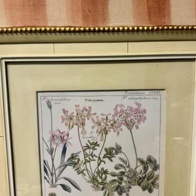Designer Framed Pair of Botanical Prints