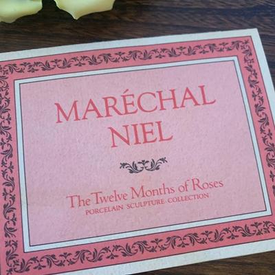 Capodimonte Marechal Niel Twelve Months of Rose