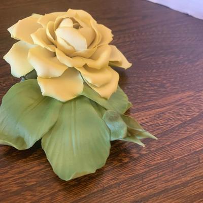 Capodimonte Marechal Niel Twelve Months of Rose